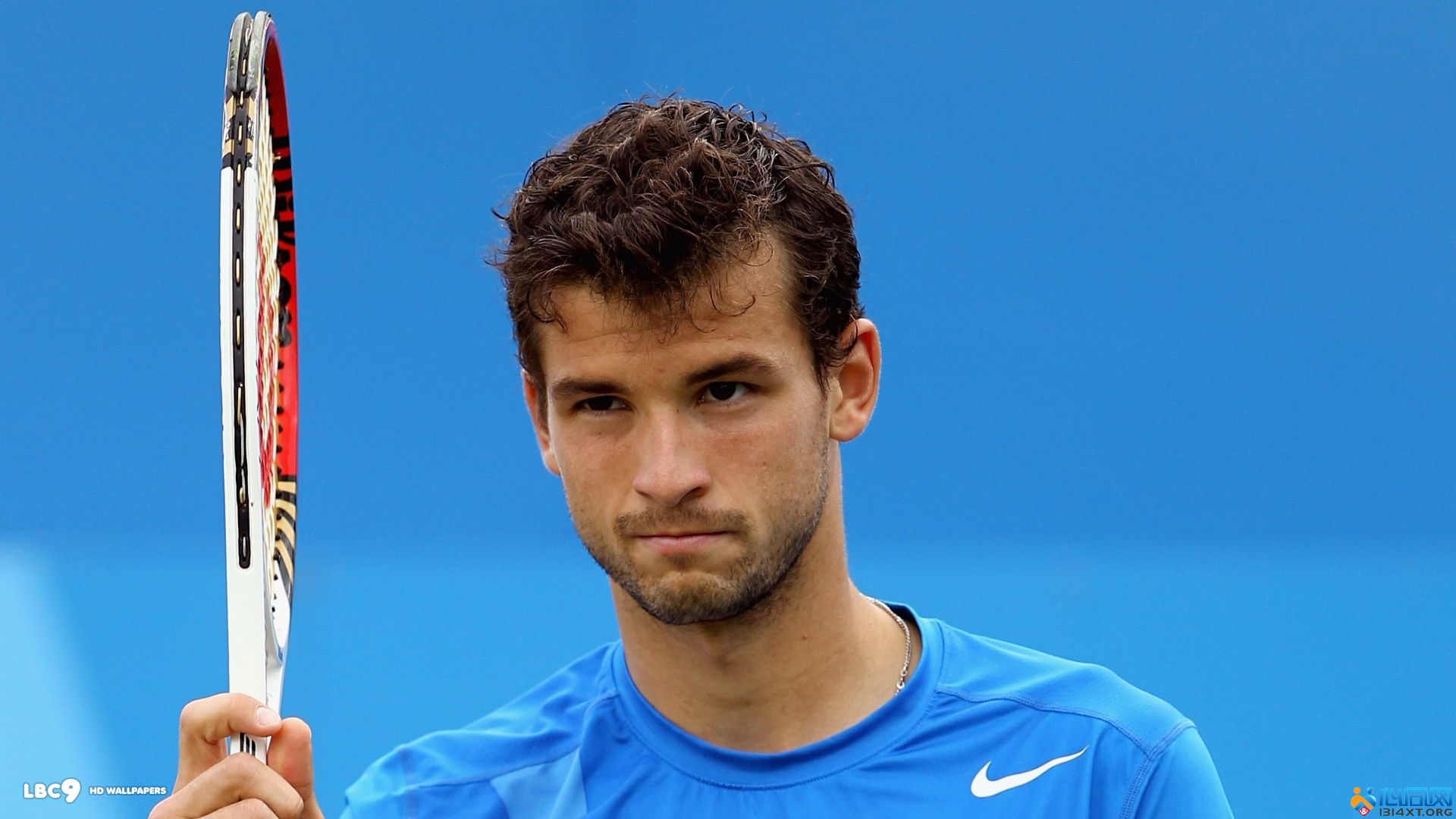 维塔尔的惊 维塔尔的惊