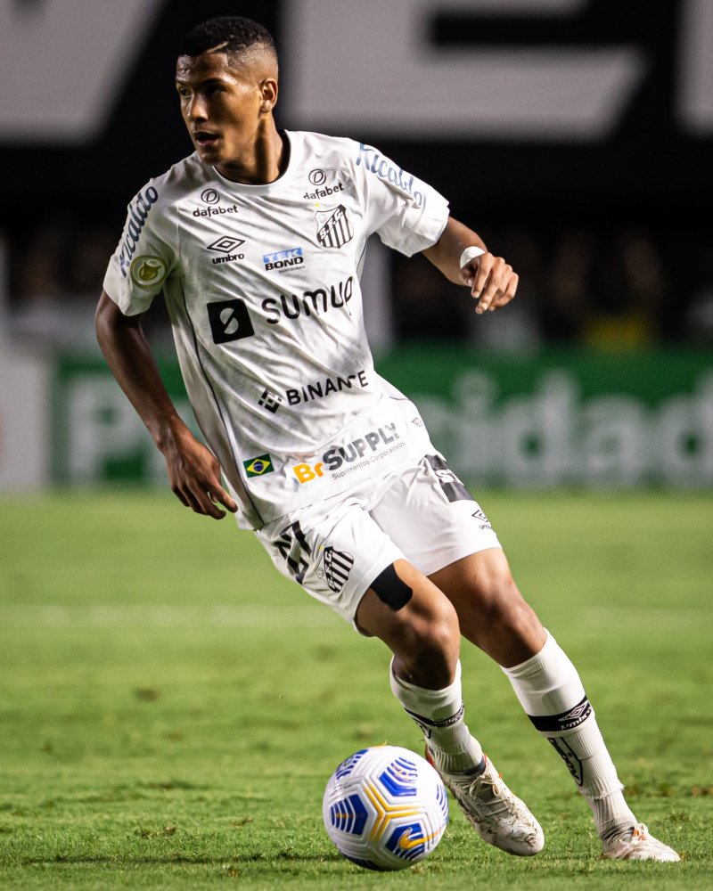 本届中国羽 本届中国羽