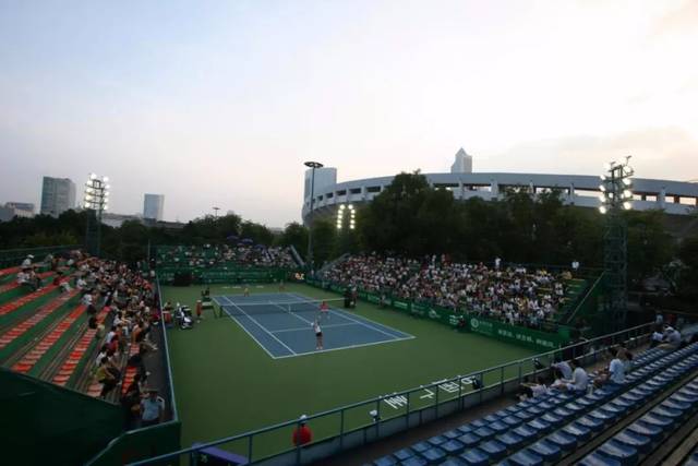 成功的案例 成功的案例