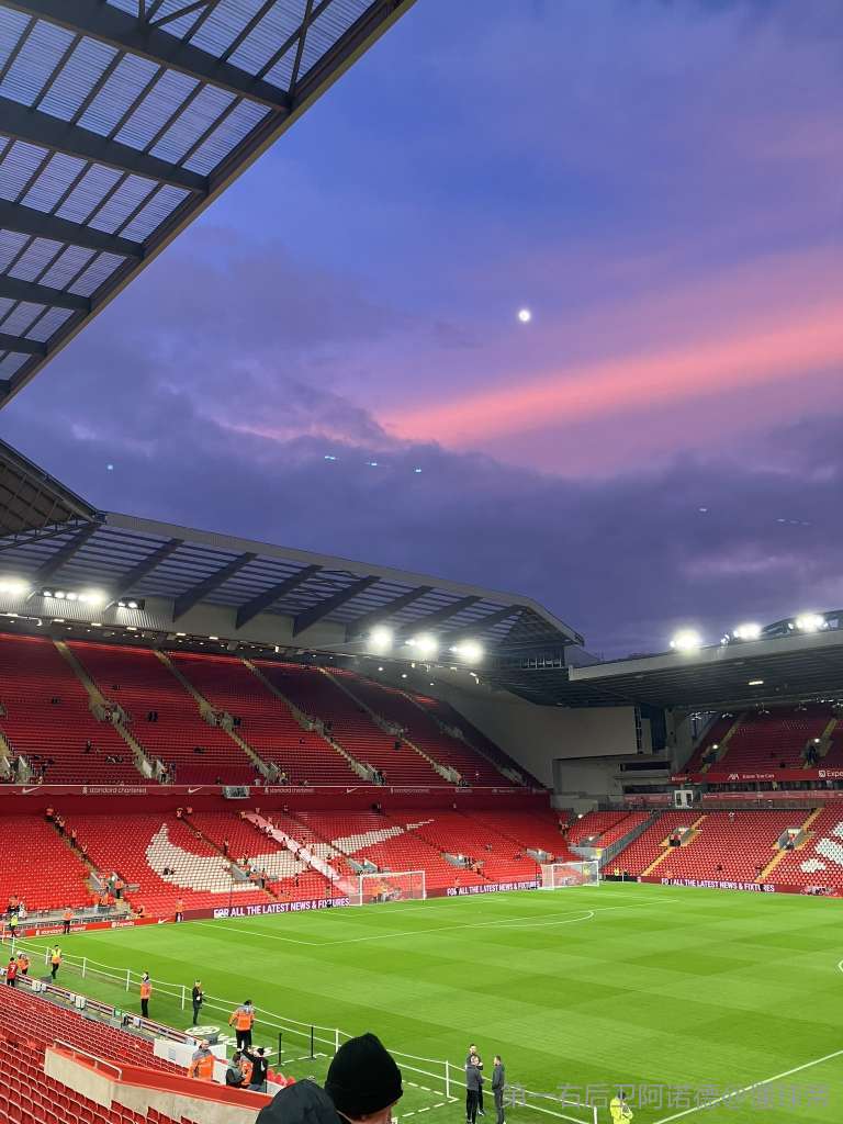 此回合浓缩 此回合浓缩